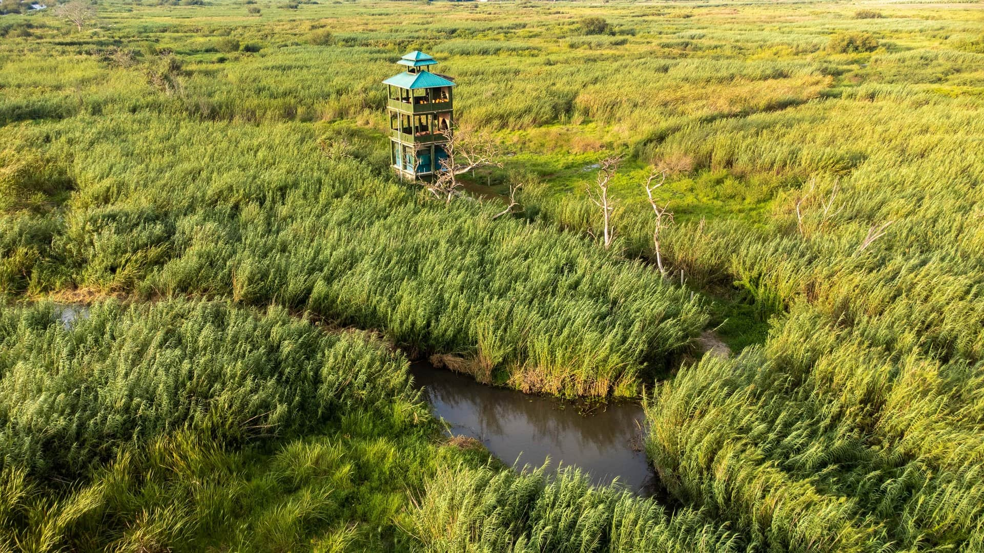 Little Okavango Camp