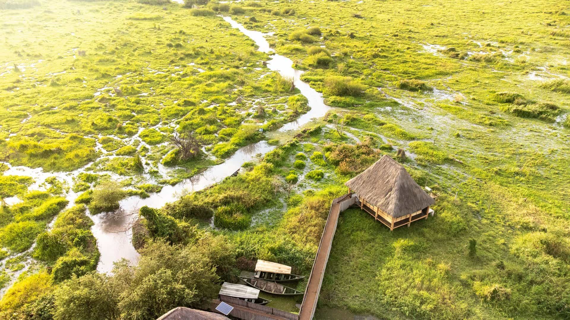 Little Okavango - Lake Victoria