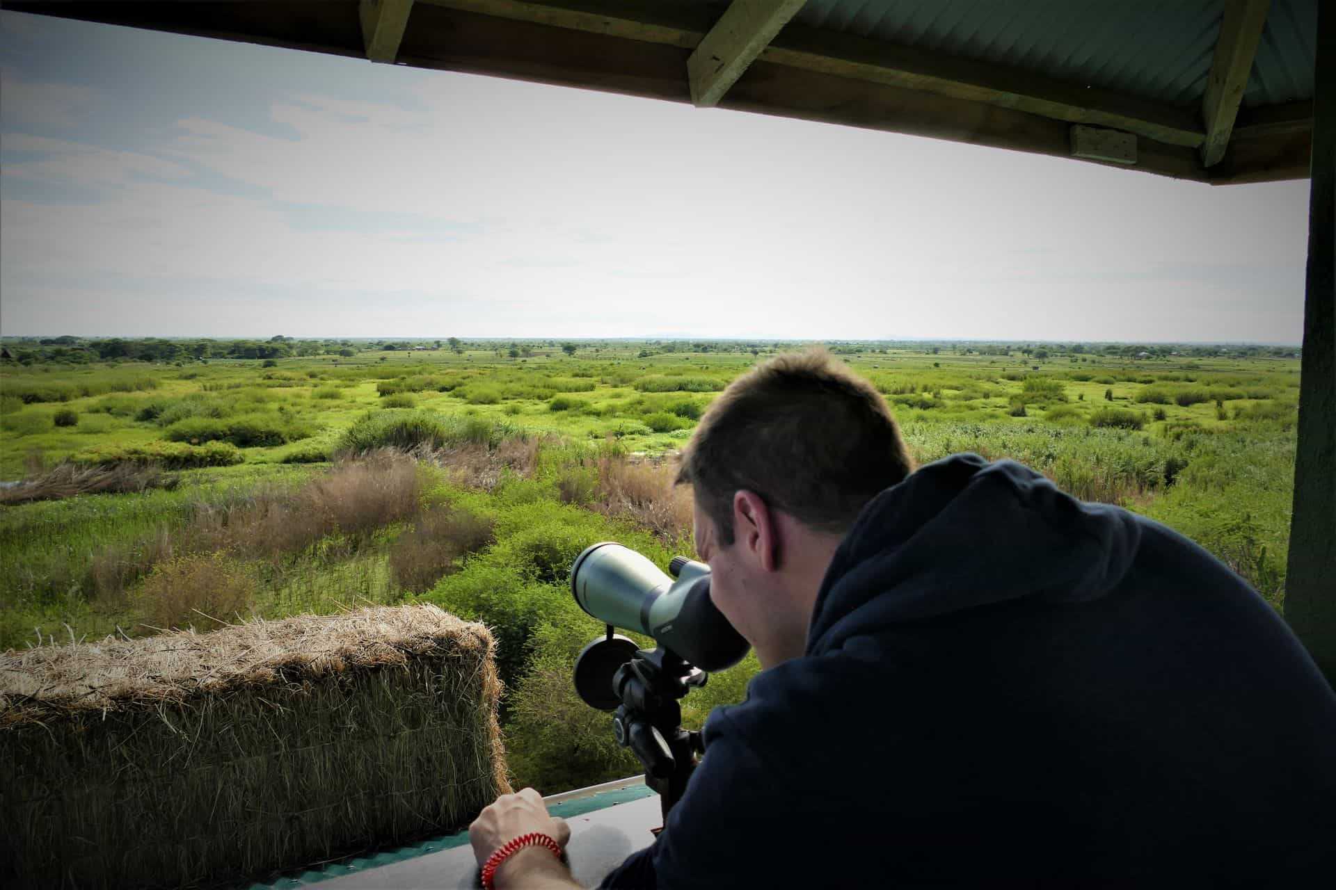 Bird watching safari - home of the Shoebill