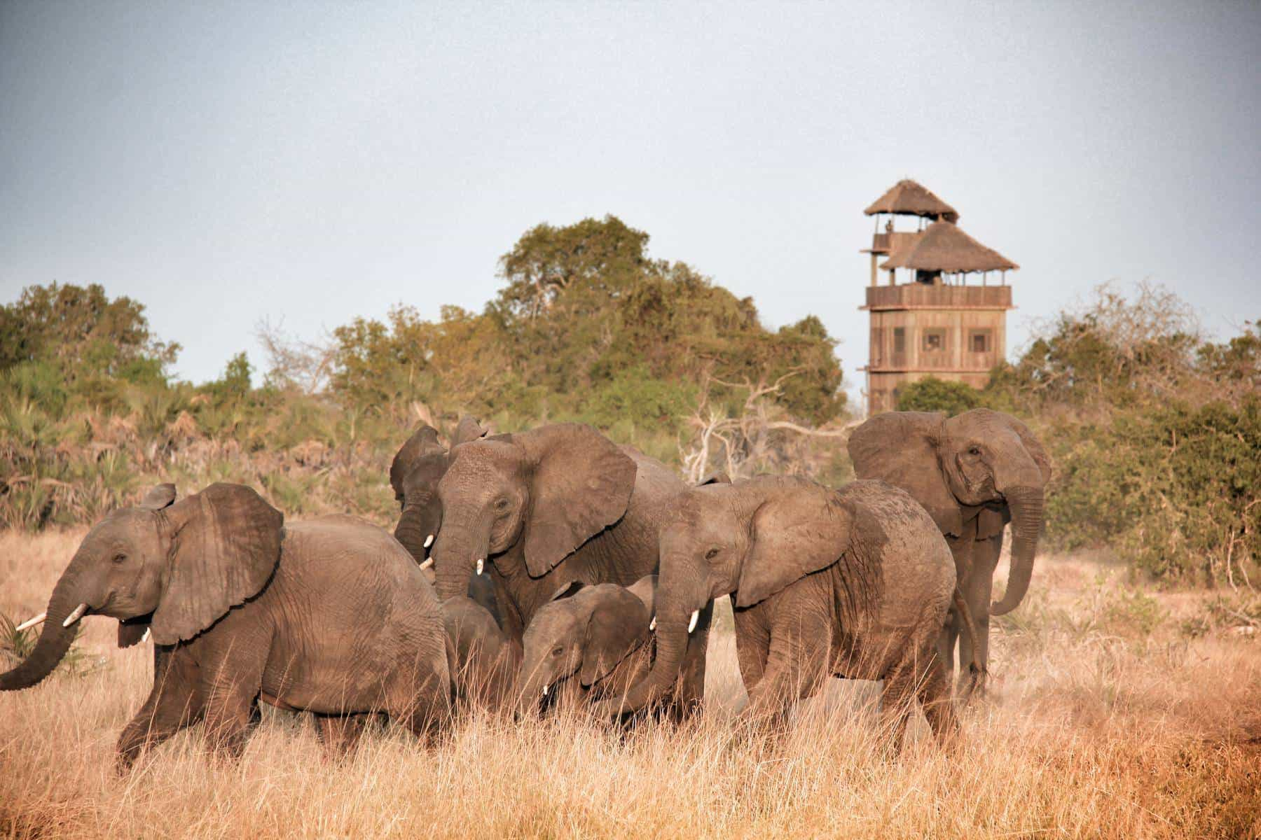 Zanzibar beach and safari