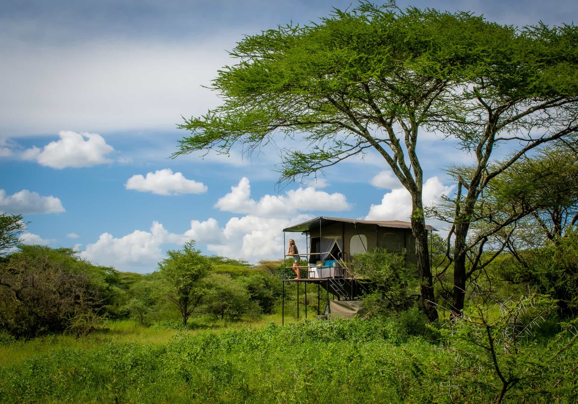 Bush Rover Suites Serengeti National park