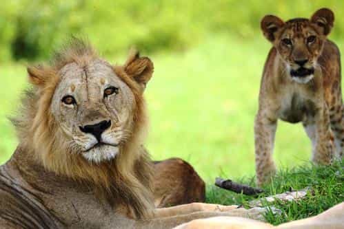 Tanzania national parks and destinations