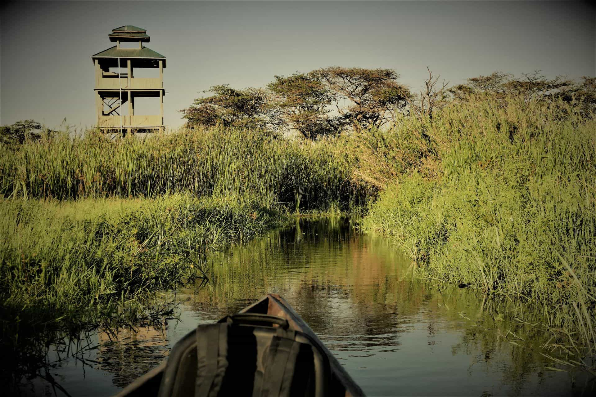 Simply Saadani Camp, Saadani National park