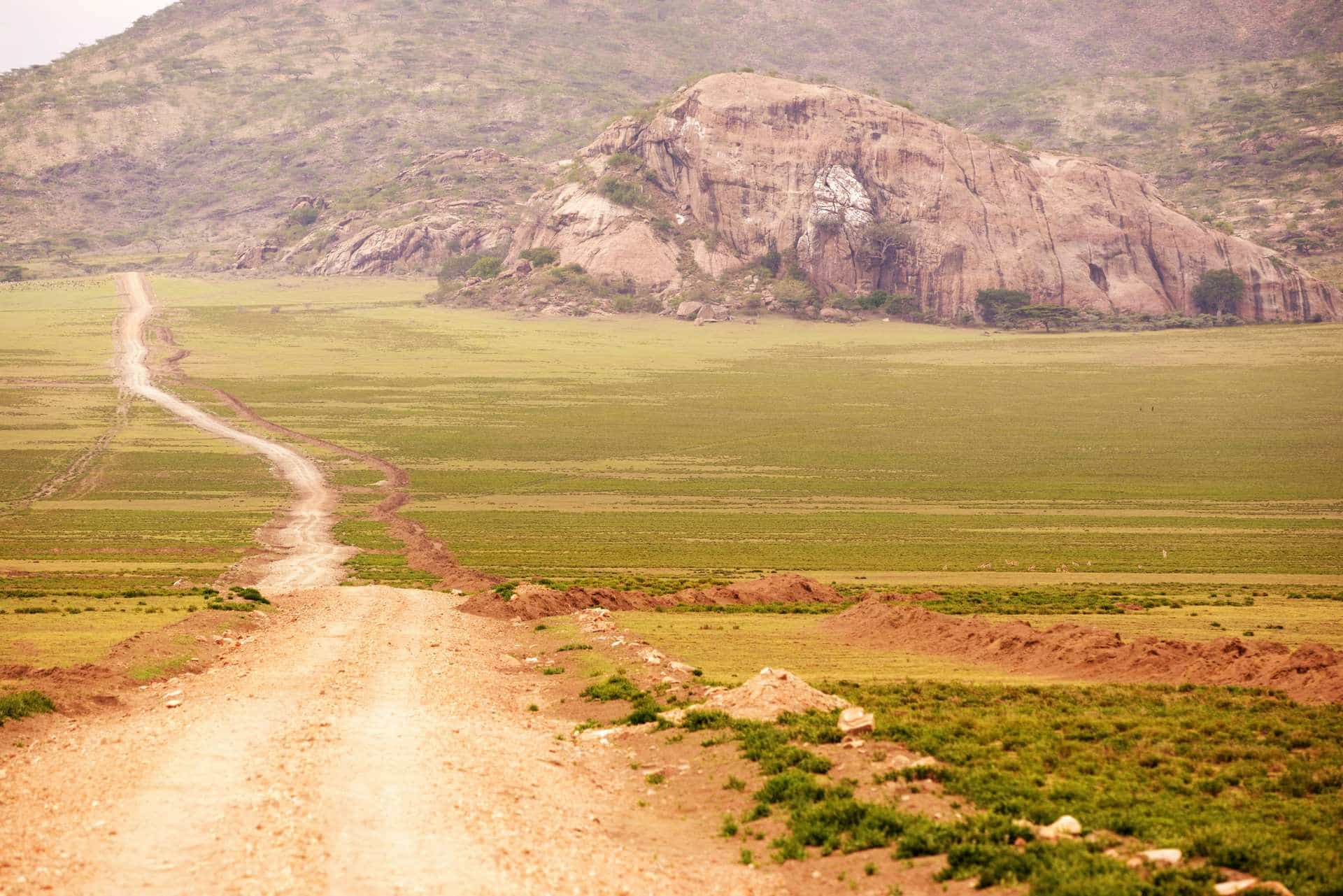 Ngorongoro crater