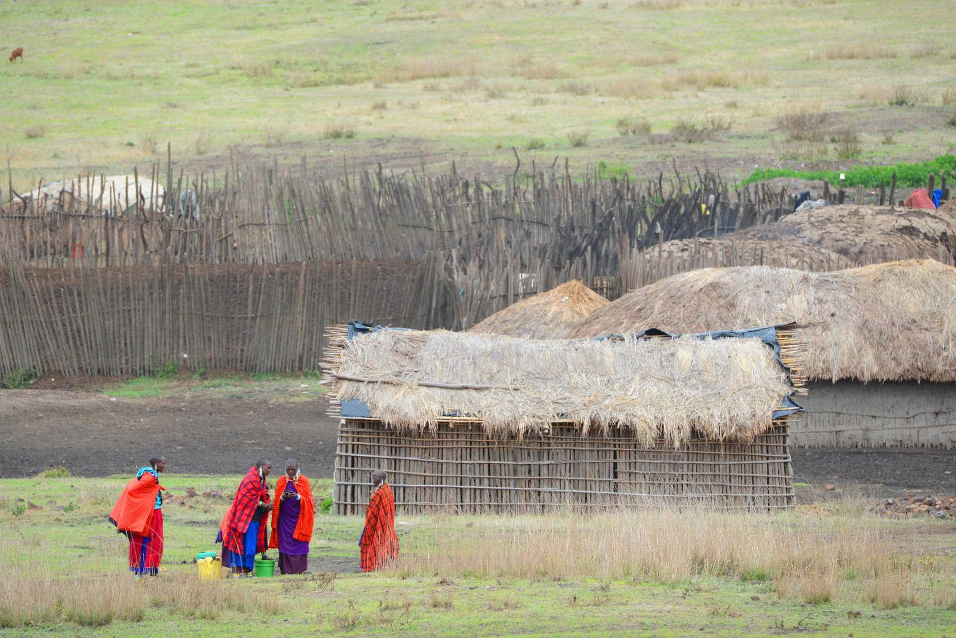 Ngorongoro crater