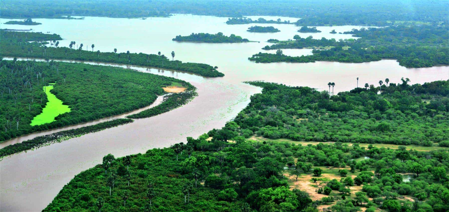 Nyerere national park