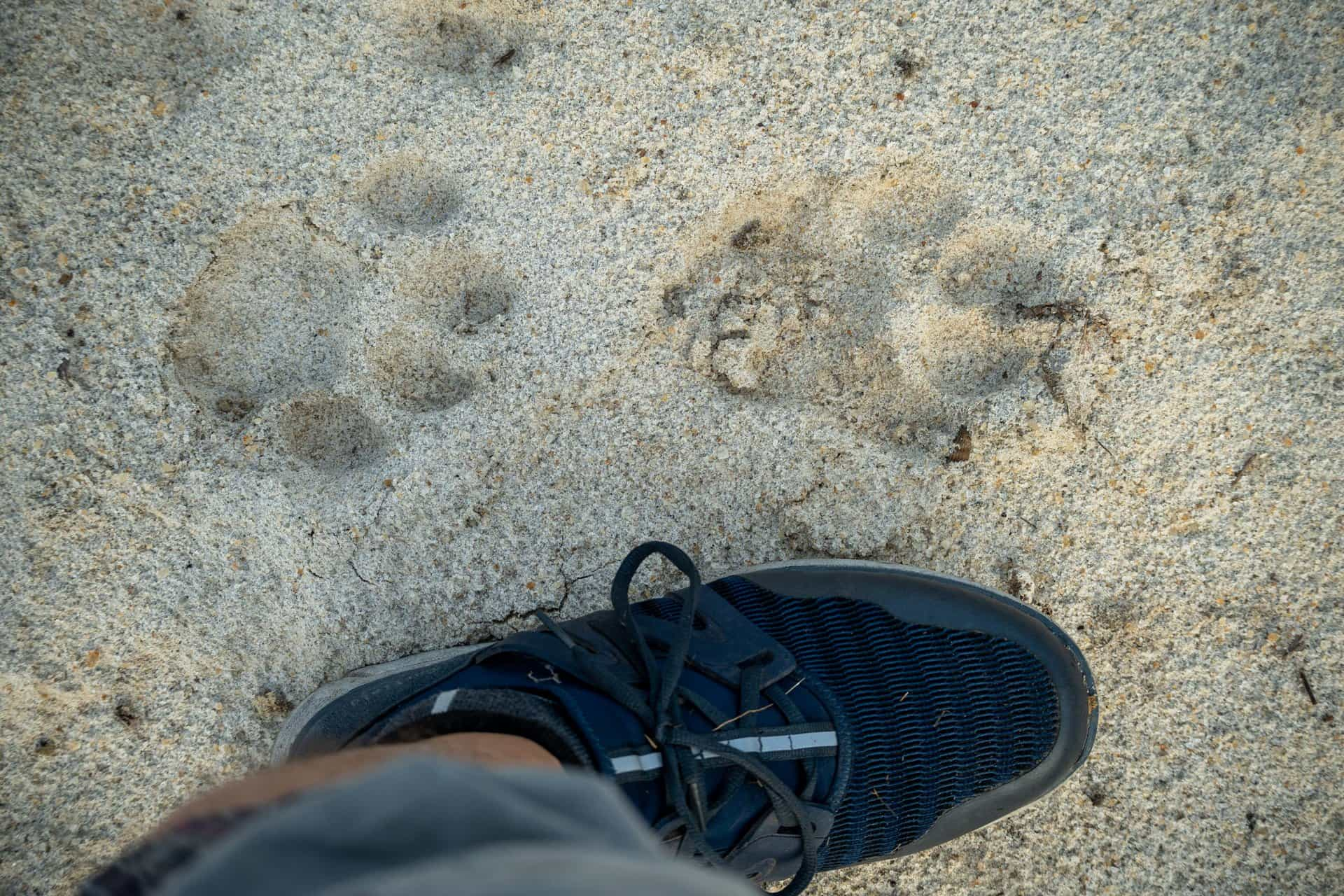 Zanzibar beach and safari