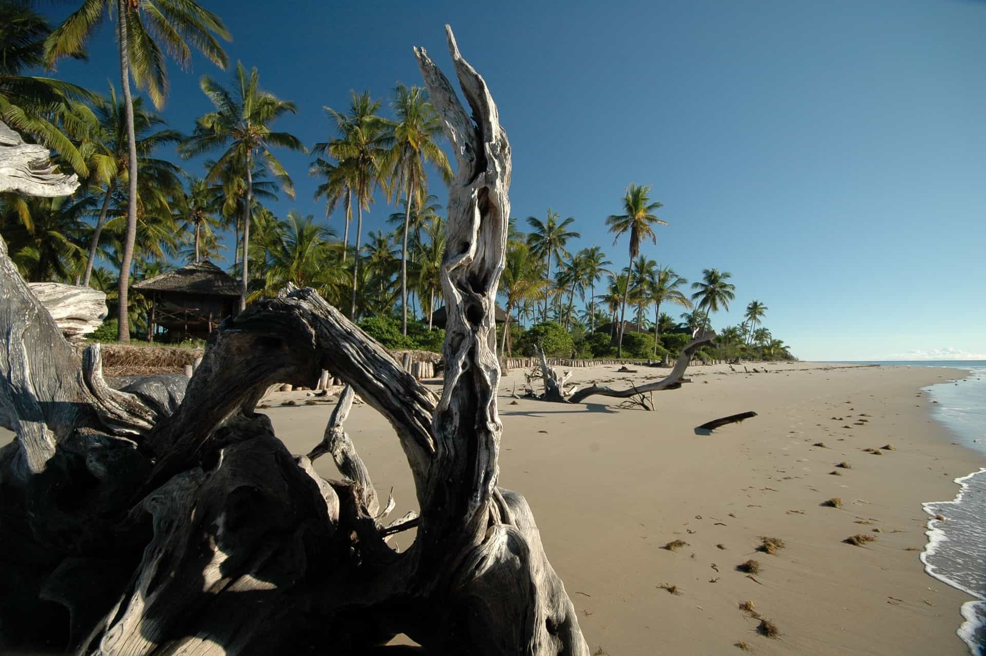 Tanzania national parks and destinations