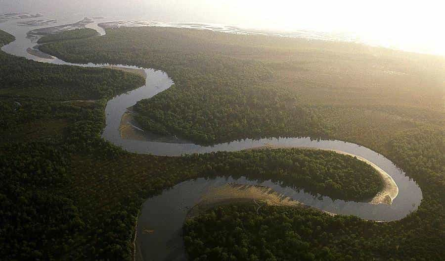 Saadani national park