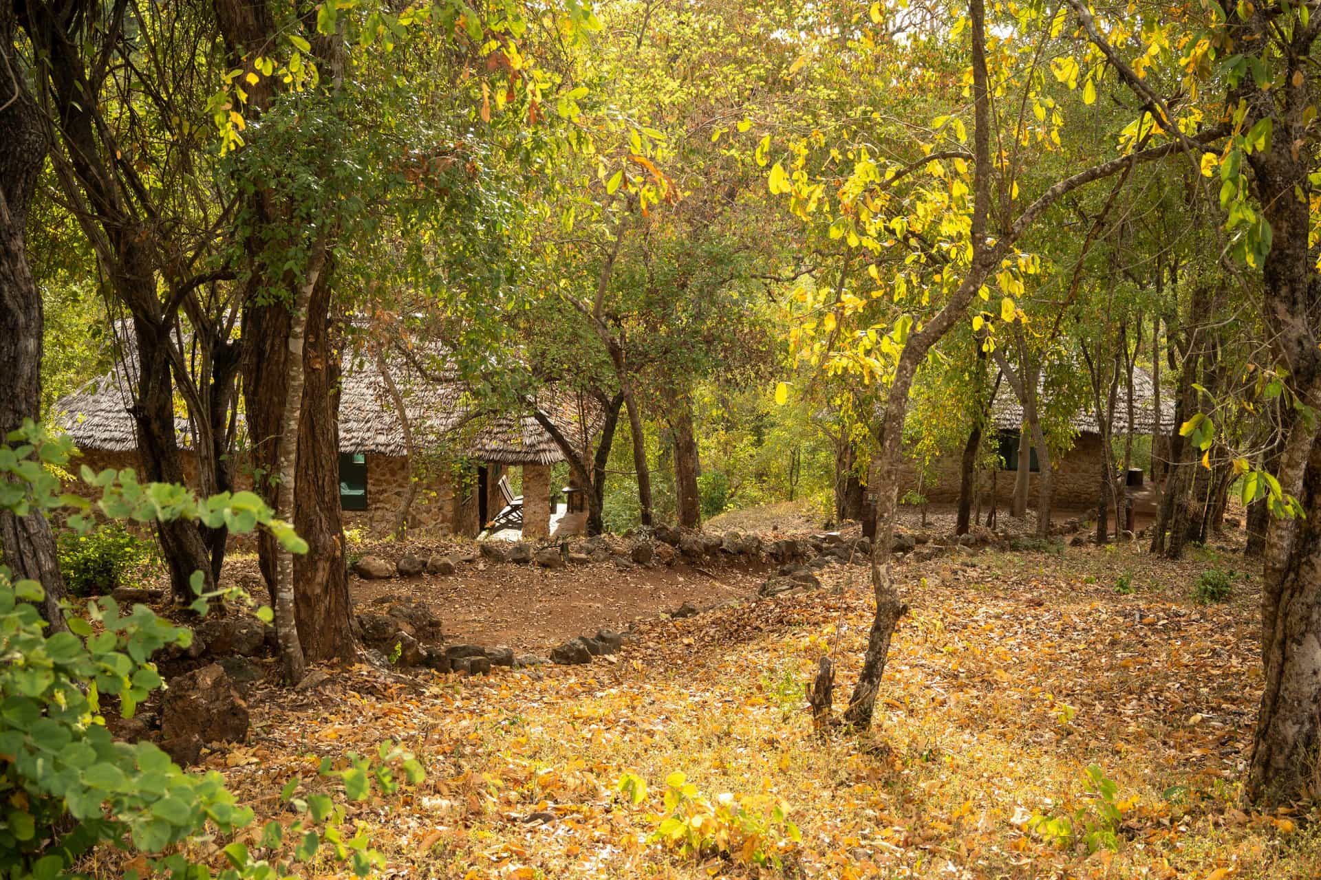 Simply Saadani Camp, Saadani National park