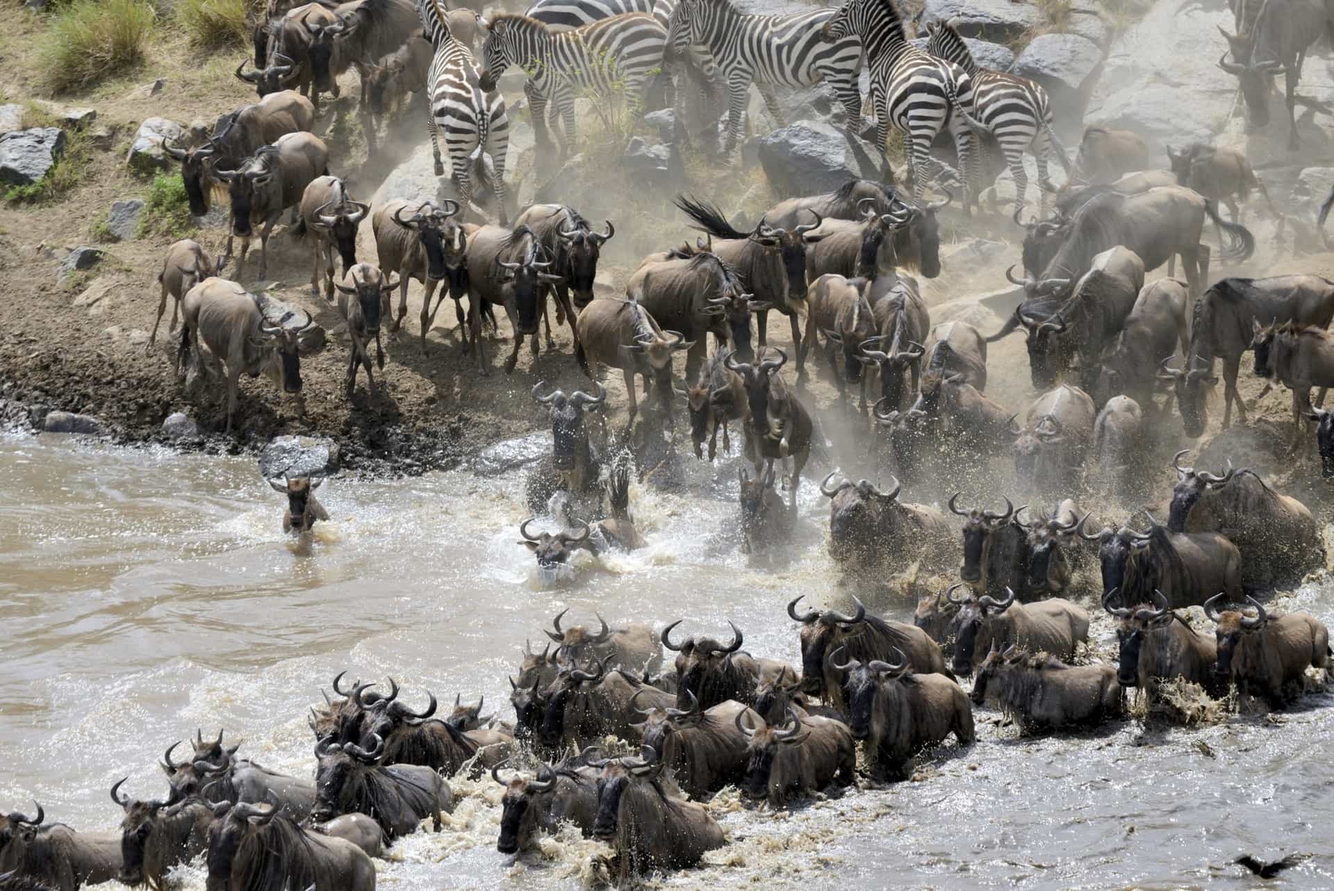 tanzania safari holidays tours packages