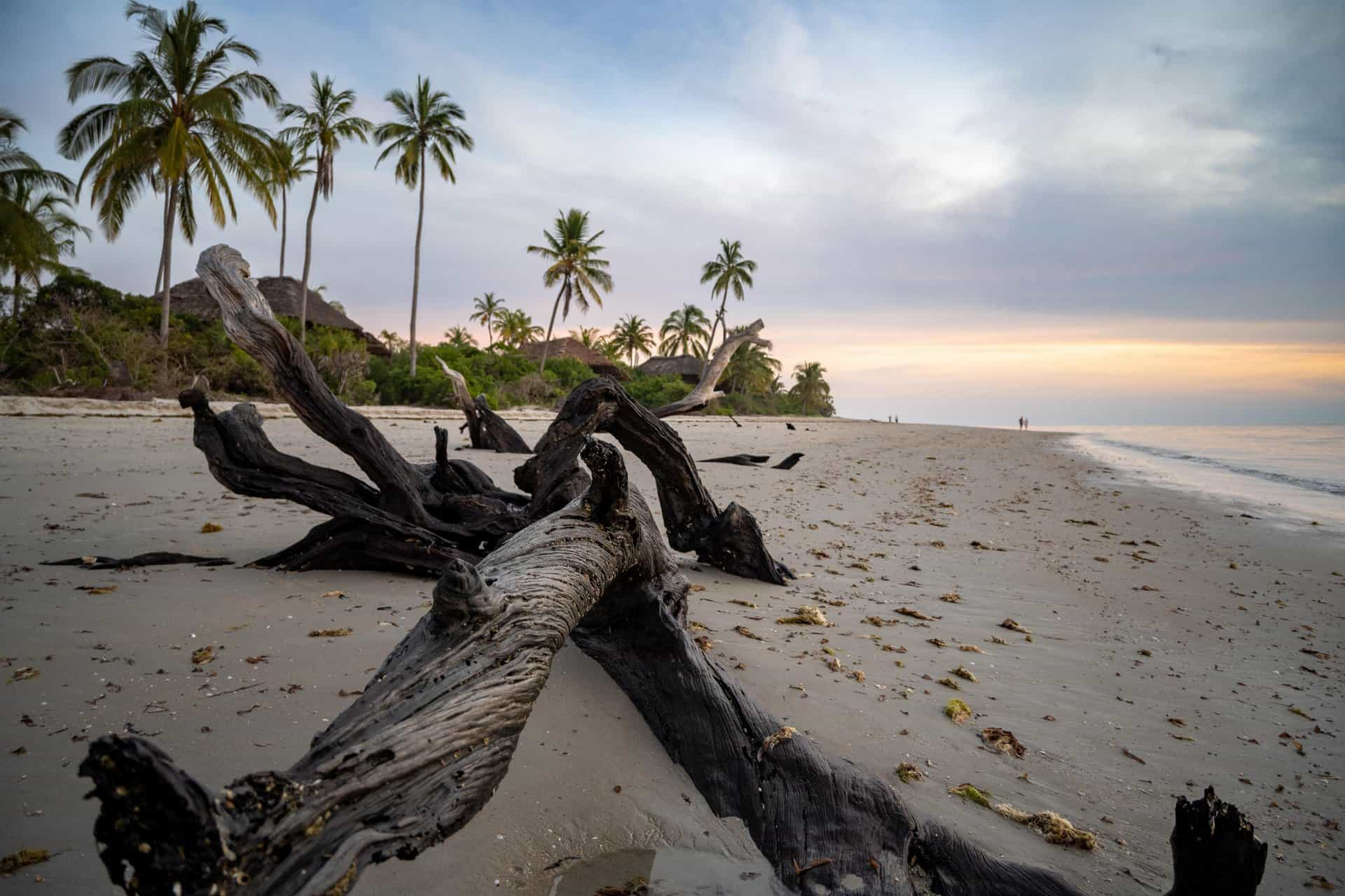 tanzania holidays safari beach