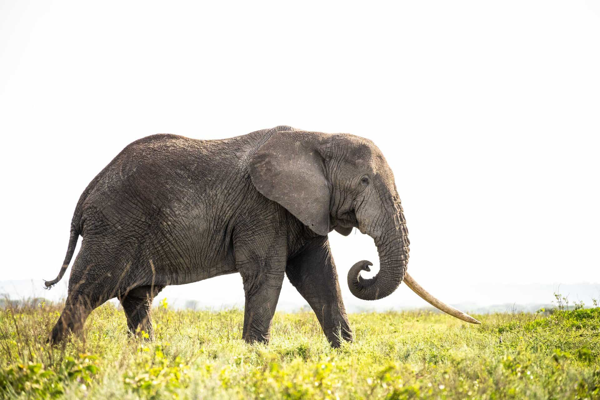 Serengeti National Park